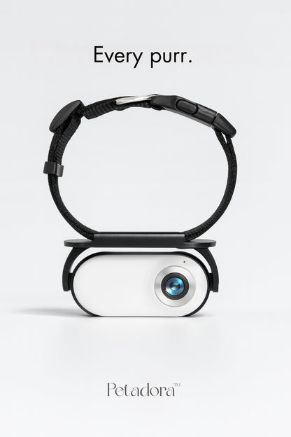 Pet CollarCam™