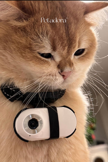 Pet CollarCam™